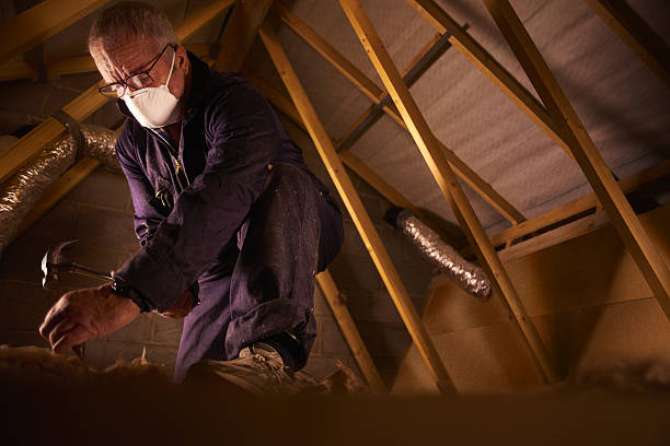 Best Fiberglass Insulation in Central Heights Midland City, AZ